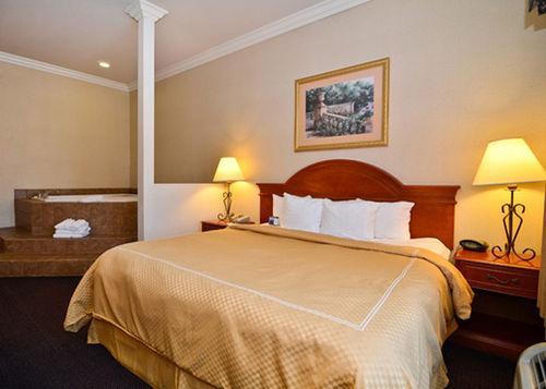 Hotel Western Delta & 3*