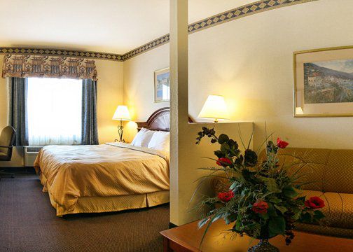 Hotel Western Delta & 3*